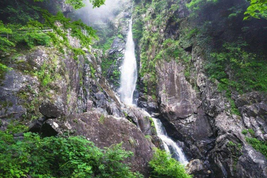 沈阳10大必吃美食排行榜,每一样都值得你品尝,看看你吃对了没